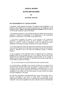 Judicial Review Scope and Grounds