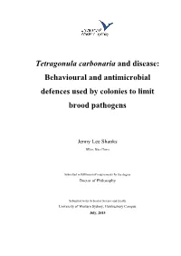 Tetragonula Carbonaria and Disease: Behavioural and Antimicrobial Defences Used by Colonies to Limit Brood Pathogens