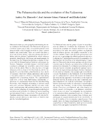 The Palaeoscolecida and the Evolution of the Ecdysozoa Andrey Yu