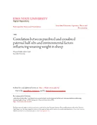 Correlation Between Purebred and Crossbred Paternal Half-Sibs And