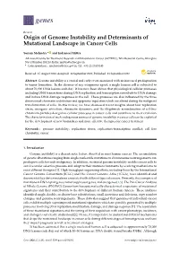 Origin of Genome Instability and Determinants of Mutational Landscape in Cancer Cells