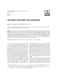 The Murine Ly49 Family: Form and Function