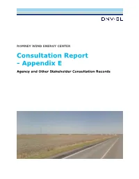 Consultation Report - Appendix E