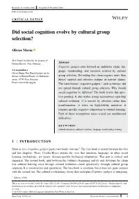 Did Social Cognition Evolve by Cultural Group Selection?