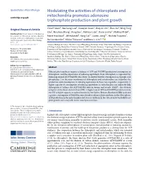 Modulating the Activities of Chloroplasts and Mitochondria Promotes Adenosine Cambridge.Org/Qpb Triphosphate Production and Plant Growth