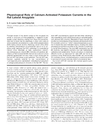 Physiological Role of Calcium-Activated Potassium Currents in the Rat Lateral Amygdala
