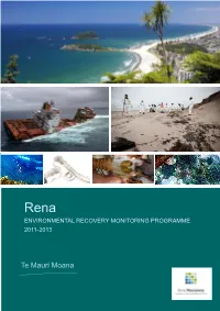 RENA Executive Summary