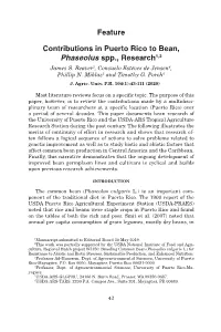 Feature Contributions in Puerto Rico to Bean, Phaseolus Spp