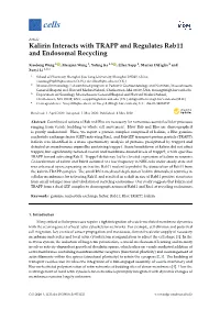 Kalirin Interacts with TRAPP and Regulates Rab11 and Endosomal Recycling