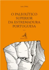 Tese1997vol1.Pdf