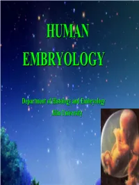 The Derivatives of Three-Layered Embryo (Germ Layers)