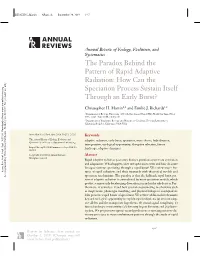 The Paradox Behind the Pattern of Rapid Adaptive Radiation: How Can the Speciation Process Sustain Itself Through an Early Burst?