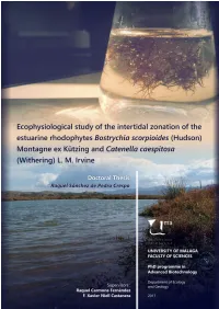 Ecophysiological Study of the Intertidal Zonation of the Estuarine Rhodophytes Bostrychia Scorpioides
