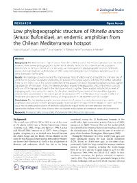 Low Phylogeographic Structure of Rhinella Arunco