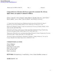 Unique Behavior of Dermal Cells from Regenerative Mammal, the African Spiny Mouse, in Response to Substrate Stiffness