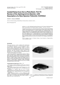 Cichlid Fishes from the La Plata Basin. Part IV