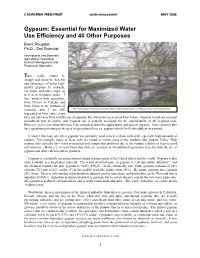 “Gypsum: Essential for Maximized Water Use Efficiency and 40 Other