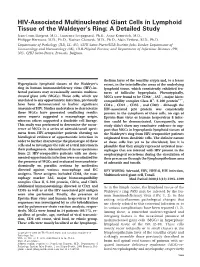HIV-Associated Multinucleated Giant Cells in Lymphoid Tissue of The