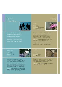 Cookstown Walking Leaflet