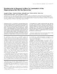 Doublecortin Is Required in Mice for Lamination of the Hippocampus but Not the Neocortex