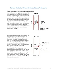Forces, Elasticity, Stress, Strain and Young's Modulus Handout