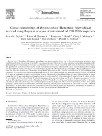 Global Relationships of Bemisia Tabaci (Hemiptera: Aleyrodidae) Revealed Using Bayesian Analysis of Mitochondrial COI DNA Sequences
