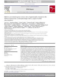 SMC6 Is an Essential Gene in Mice, but a Hypomorphic Mutant in The