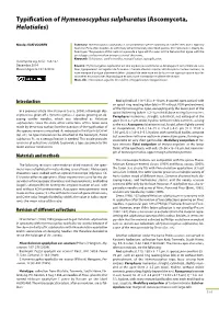 Ascomyceteorg 06-05 Ascomyceteorg