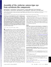 Assembly of the Cnidarian Camera-Type Eye from Vertebrate-Like Components