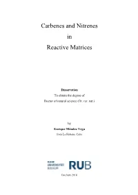 Carbenes and Nitrenes in Reactive Matrices