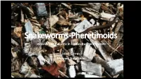 Presentation Slides (Earthworms)