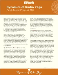 Dynamics of Rudra Yaga Pandit Rajmani Tigunait, Phd