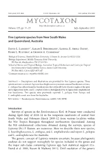 Five &lt;I&gt;Leptonia&lt;/I&gt;
