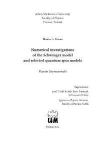 Numerical Investigations of the Schwinger Model and Selected Quantum Spin Models