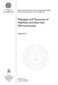 Phylogeny and Taxonomy of Polyblastia and Allied Taxa (Verrucariaceae)