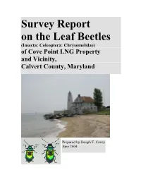 Survey Report on the Leaf Beetles (Insecta: Coleoptera: Chrysomelidae) of Cove Point LNG Property and Vicinity, Calvert County, Maryland