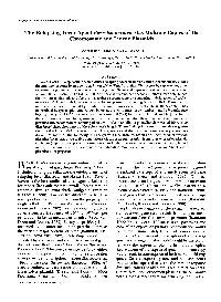 The Relapsing Fever Agent Borrelia Hermsii Has Multiple