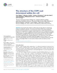 The Structure of the COPI Coat Determined Within the Cell