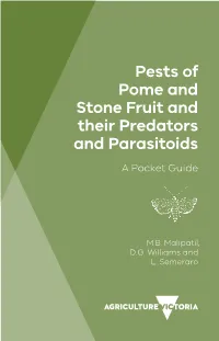 Pests of Pome and Stone Fruit and Their Predators and Parasitoids