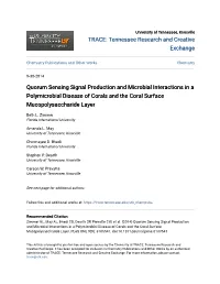 Quorum Sensing Signal Production and Microbial Interactions in a Polymicrobial Disease of Corals and the Coral Surface Mucopolysaccharide Layer