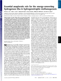 Essential Anaplerotic Role for the Energy-Converting Hydrogenase