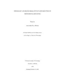 Physiology and Mechanisms of Pyocyanin Reduction In