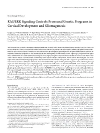 RAS/ERK Signaling Controls Proneural Genetic Programs in Cortical Development and Gliomagenesis