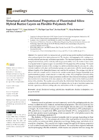 Structural and Functional Properties of Fluorinated Silica Hybrid Barrier Layers on Flexible Polymeric Foil