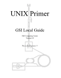 GSI Local Guide