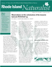 Observations on the Colonization of the Invasive Tunicate Didemnum
