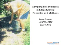 Sampling Soil and Roots in Citrus Groves: Principles and Methods