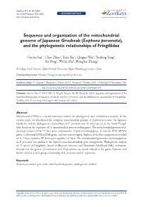 Sequence and Organisation of the Mitochondrial Genome of Japanese Grosbeak (Eophona Personata), and the Phylogenetic Relationships of Fringillidae