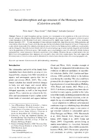Sexual Dimorphism and Age Structure of the Montseny Newt (Calotriton Arnoldi)