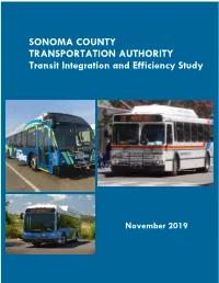 Transit Integration and Efficiency Study
